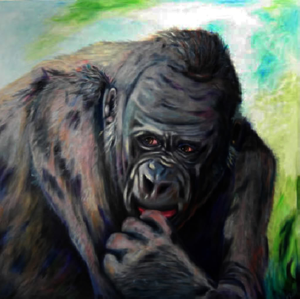 albums-bb199-doroteja27-gorilla