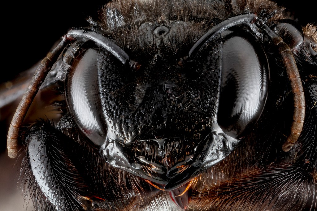 8020979967_6776611ea3_k