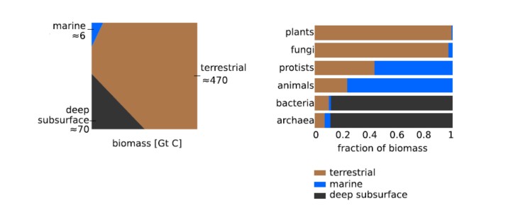 Biomass distributions across different environments. (Fig 2. ibid)